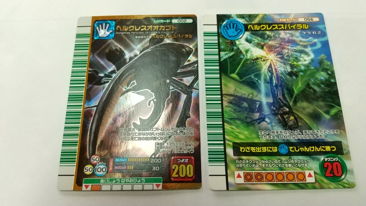 激レア 美品 2007年ファースト 黒羽根 ヘルクレスオオカブト 激レア 美品 2007年ファースト 黒羽根 ヘルクレスオオカブト