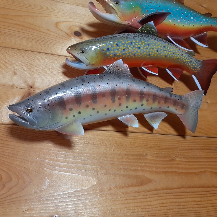 レプリカ 30cm アマゴ / あまご 天魚 エノハ 渓流 フライフィッシング