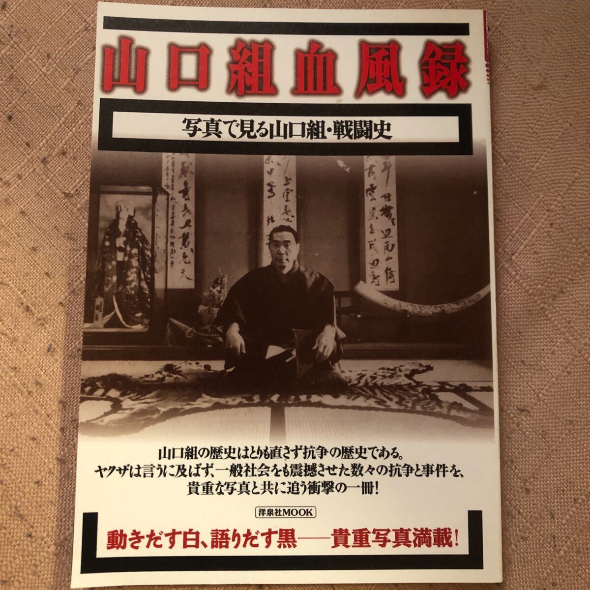 山口組血風(fēng)録 : 寫真で見る山口組?戦闘史
