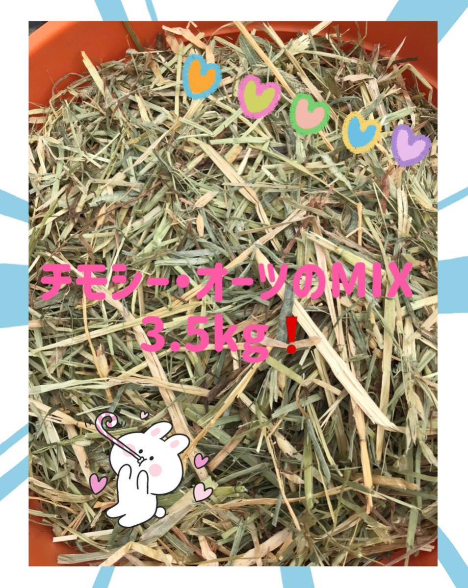 松畜　特注ソフトチモシー 3.5kg 松畜 特注ソフトチモシー 3.5kg