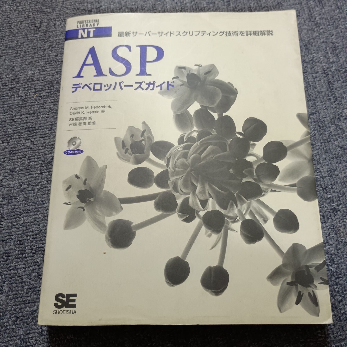 ＡＳＰデベロッパーズガイド 最新サーバーサイドスクリプティング技術を詳細解説 ＰＲＯＦＥＳＳＩＯＮＡＬ ＬＩＢＲＡＲＹ／アンドリュー_画像1