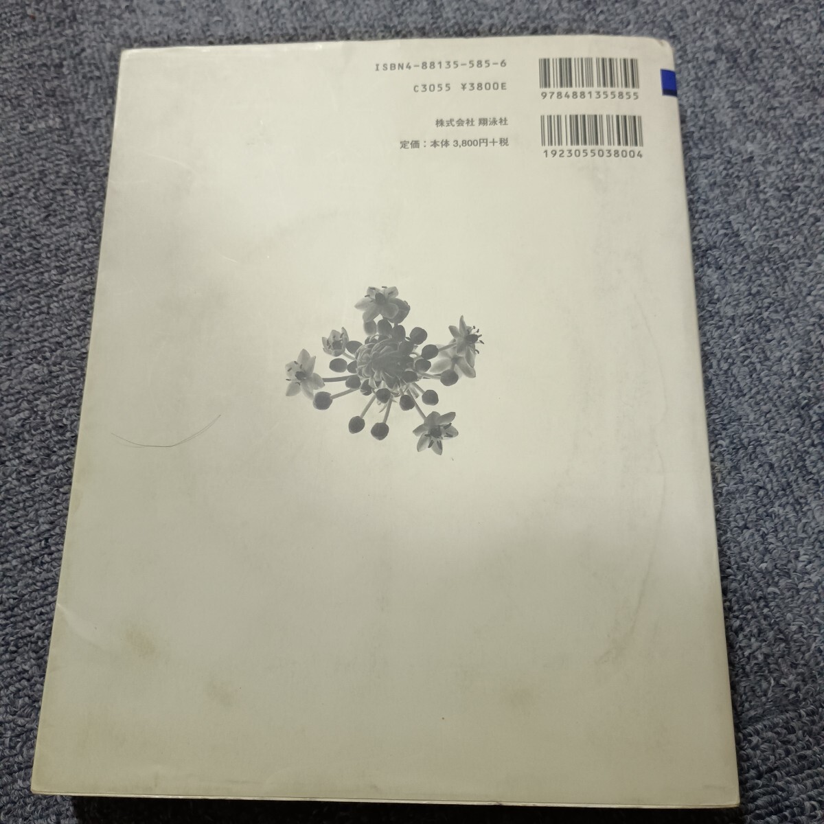 ＡＳＰデベロッパーズガイド 最新サーバーサイドスクリプティング技術を詳細解説 ＰＲＯＦＥＳＳＩＯＮＡＬ ＬＩＢＲＡＲＹ／アンドリュー_画像3