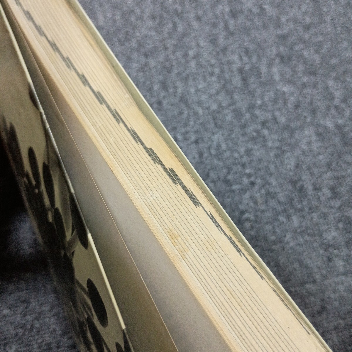 ＡＳＰデベロッパーズガイド 最新サーバーサイドスクリプティング技術を詳細解説 ＰＲＯＦＥＳＳＩＯＮＡＬ ＬＩＢＲＡＲＹ／アンドリュー_画像5