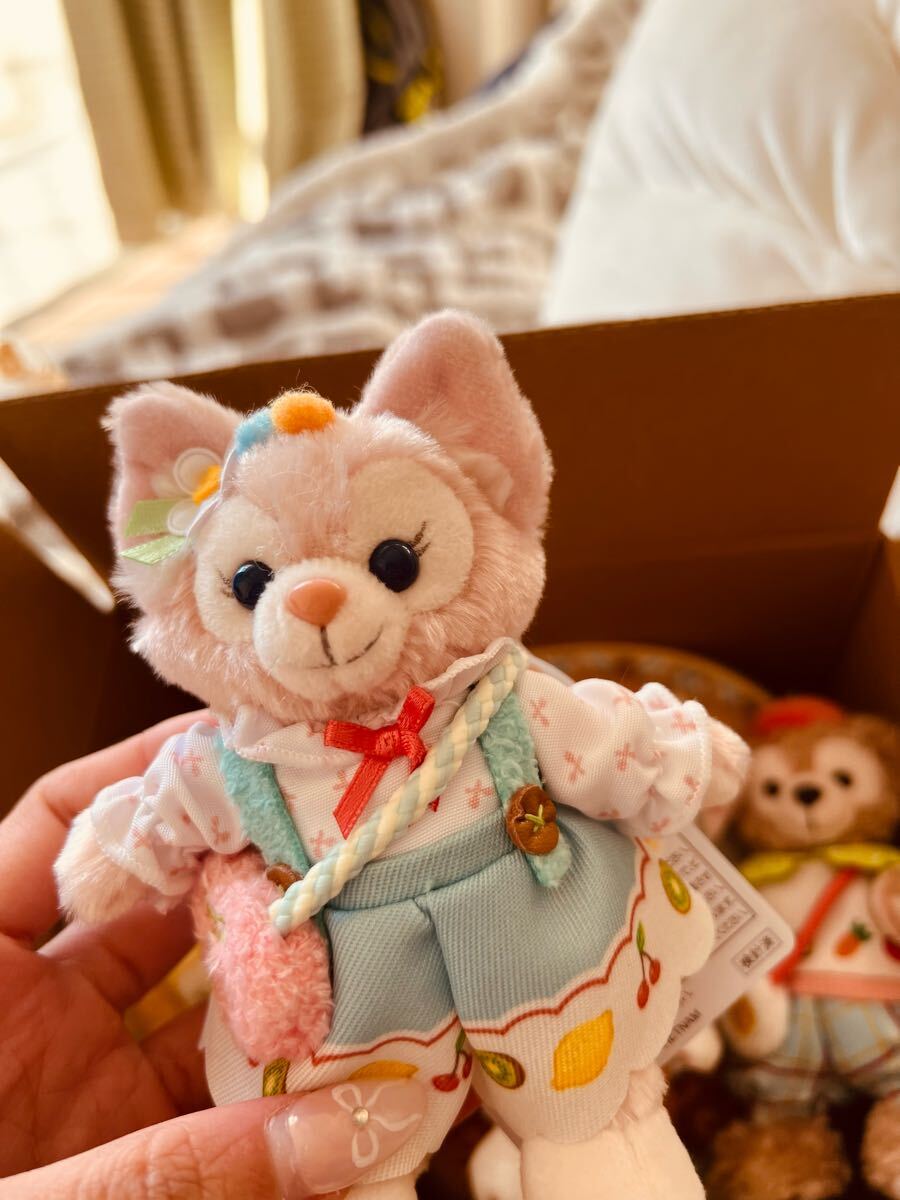 ダッフィー&フレンズ ワンダフルキッチン ぬいぐるみバッジ ディズニーシー ダッフィー&フレンズ ワンダフルキッチン ぬいぐるみバッジ ディズニーシー
