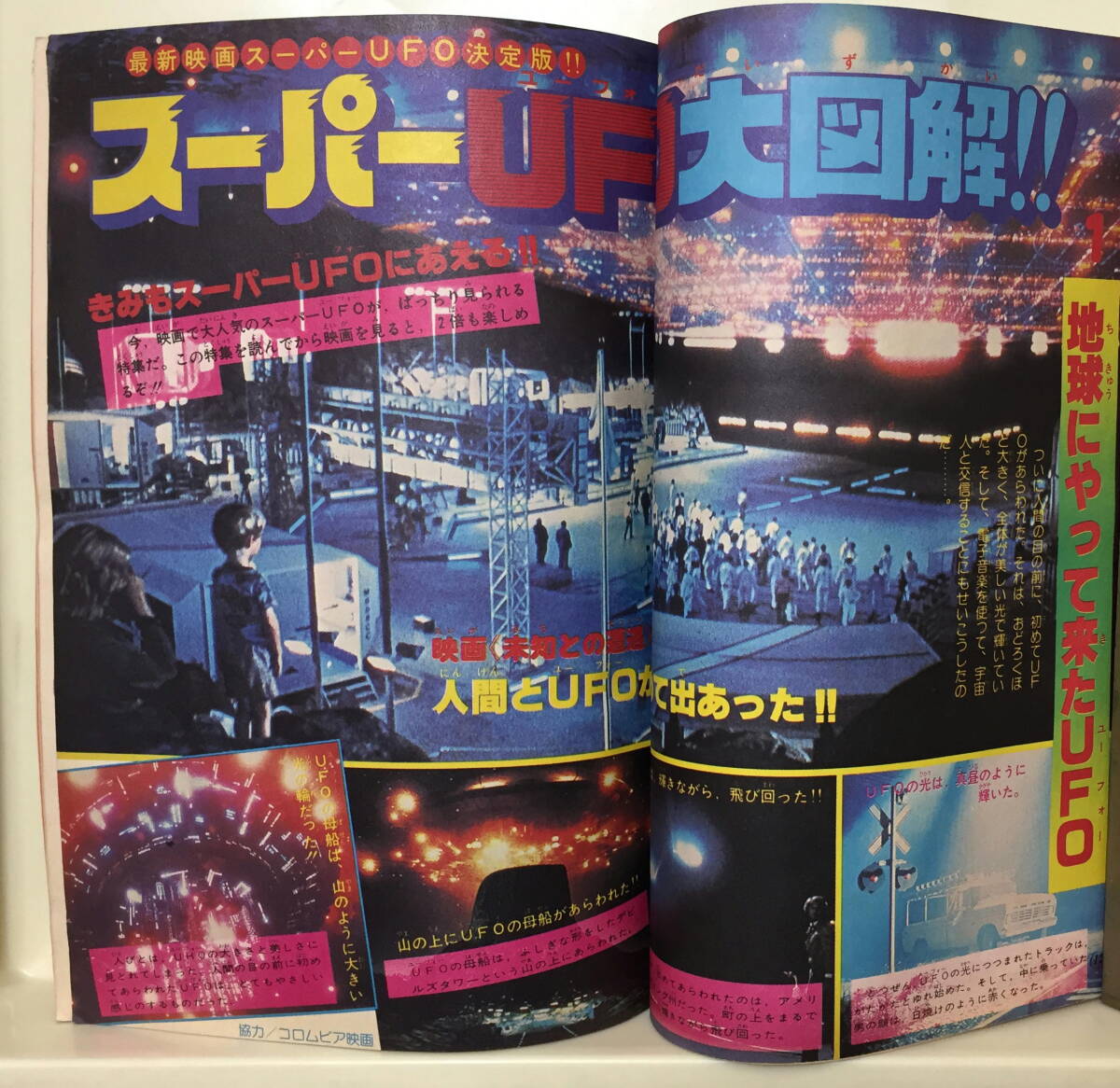 小学三年生】1978年(S53)5月号 ☆ 生きている化石/ピンク