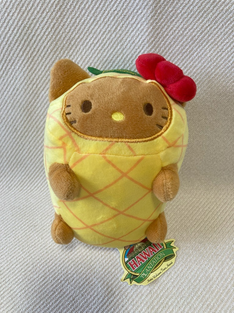 全国宅配無料 ハワイ仕様で日焼け気味のキティちゃん❤️ ドール 全国宅配無料 ハワイ仕様で日焼け気味のキティちゃん❤️ ドール