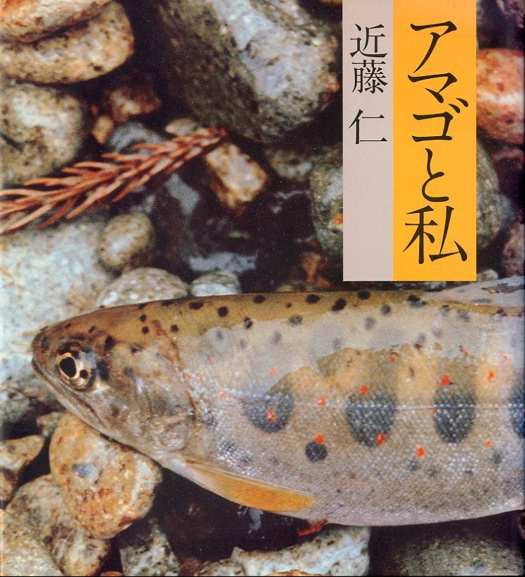 アマゴと私　_画像1