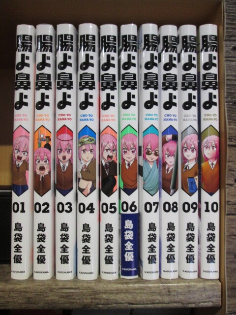 大江戸絵図 嘉永 安政時代 木版 六色刷 定価46，500円 印刷 27