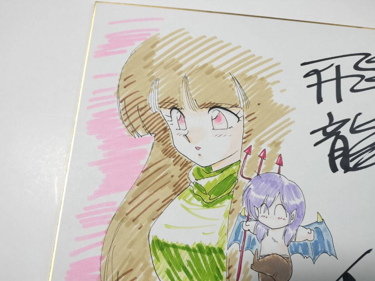 飛龍乱 直筆イラスト サイン色紙 1点もの超貴重 ペンギンクラブ 飛龍乱 直筆イラスト サイン色紙 1点もの超貴重 ペンギンクラブ