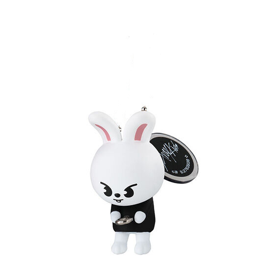 カニカン 新品 未使用 Leebit リノ StrayKids スキズ SKZOO カニカン 新品 未使用 Leebit リノ StrayKids スキズ SKZOO