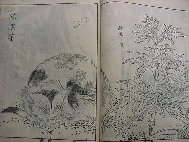 □龍 虎 馬 猫 猿!江戸時代版『和漢名筆 金玉画府 1冊』明和8年 □龍 虎 馬 猫 猿!江戸時代版『和漢名筆 金玉画府 1冊』明和8年