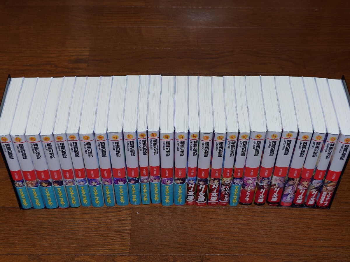 精霊幻想記 1〜26巻 全巻セット+書き下ろしショートストーリー 精霊幻想記 1〜26巻 全巻セット+書き下ろしショートストーリー