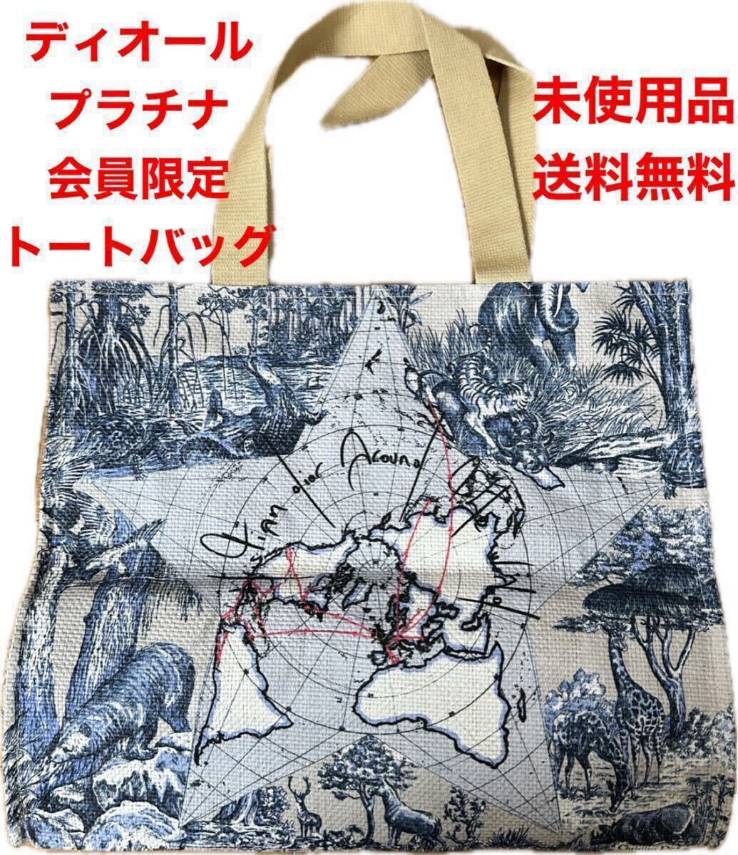 送料無料 未使用品 クリスチャン ディオール Christian Dior 送料無料 未使用品 クリスチャン ディオール Christian Dior