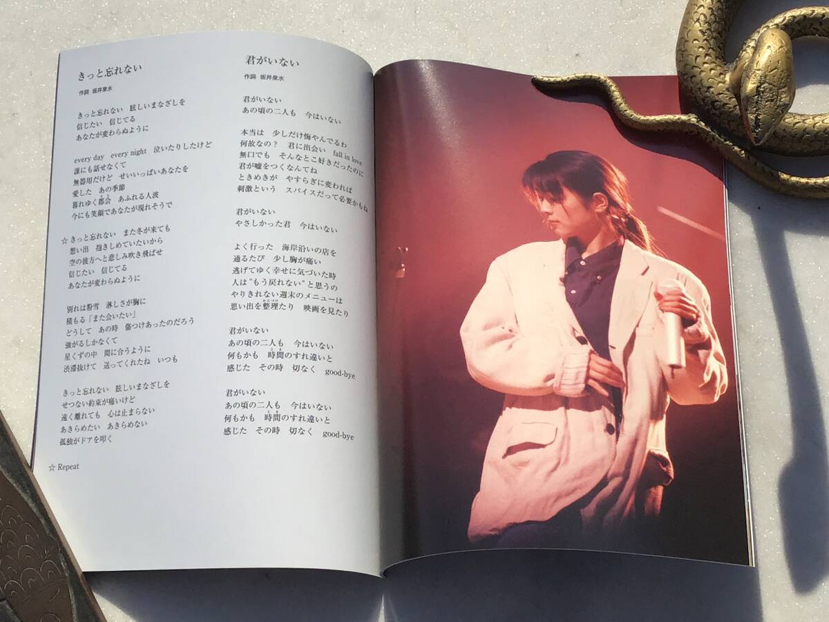 ZARD 坂井泉水 DVD ZARD What a beautiful memory 2008 LIVE& ZARD 坂井泉水 DVD ZARD What a beautiful memory 2008 LIVE&