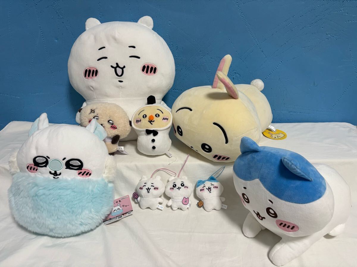ちいかわ:ちいかわ、ハチワレ、うさぎが“お座り”ぬいぐるみに ちいかわ:ちいかわ、ハチワレ、うさぎが“お座り”ぬいぐるみに