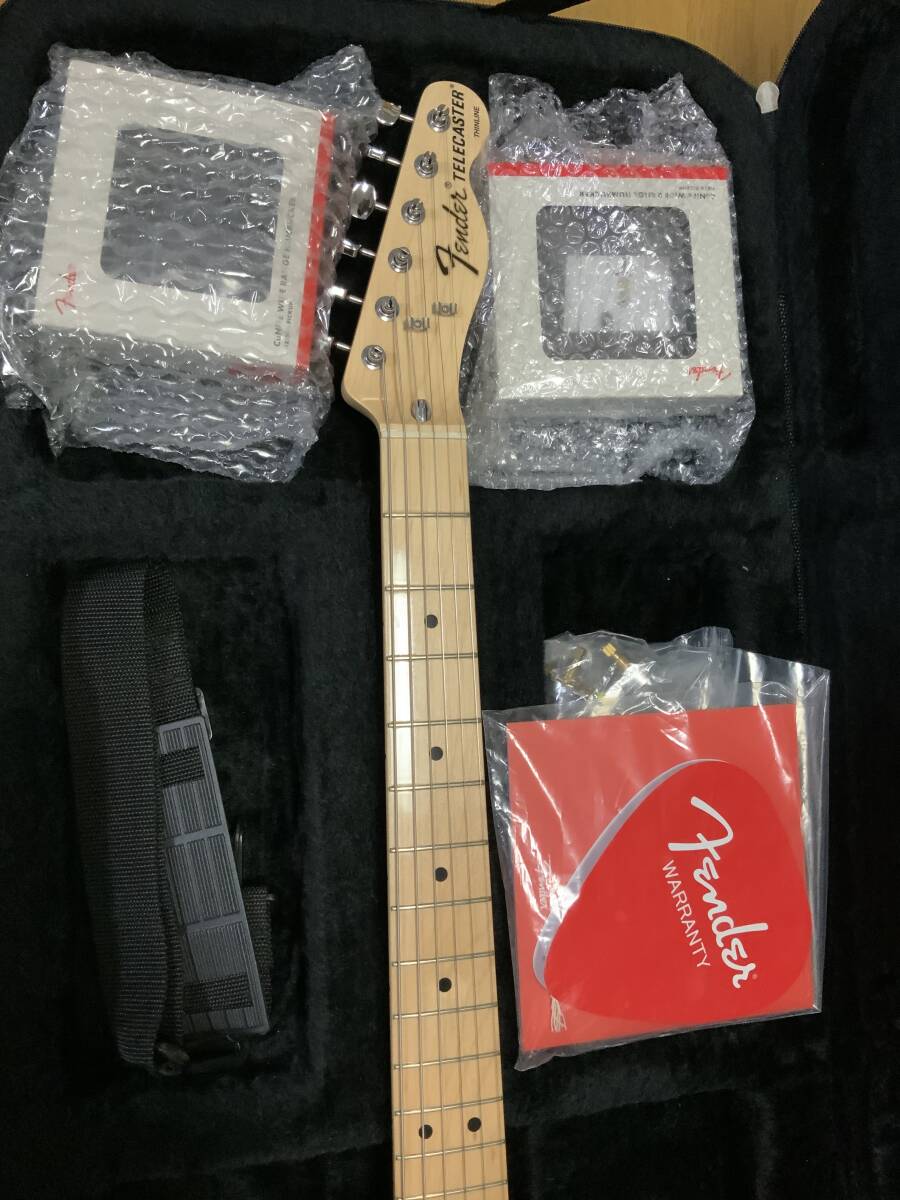 Fender Japan Traditional II 70s Telecaster Thinline + Fender Japan Traditional II 70s Telecaster Thinline +