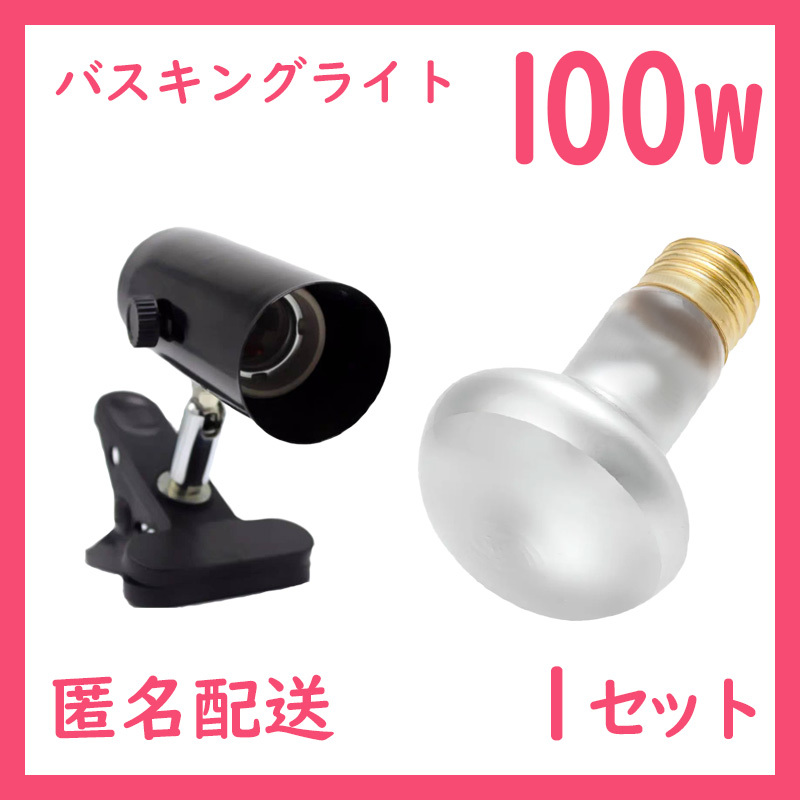 爬蟲類ライト【100Wバスキングライト】タイトビームS0041