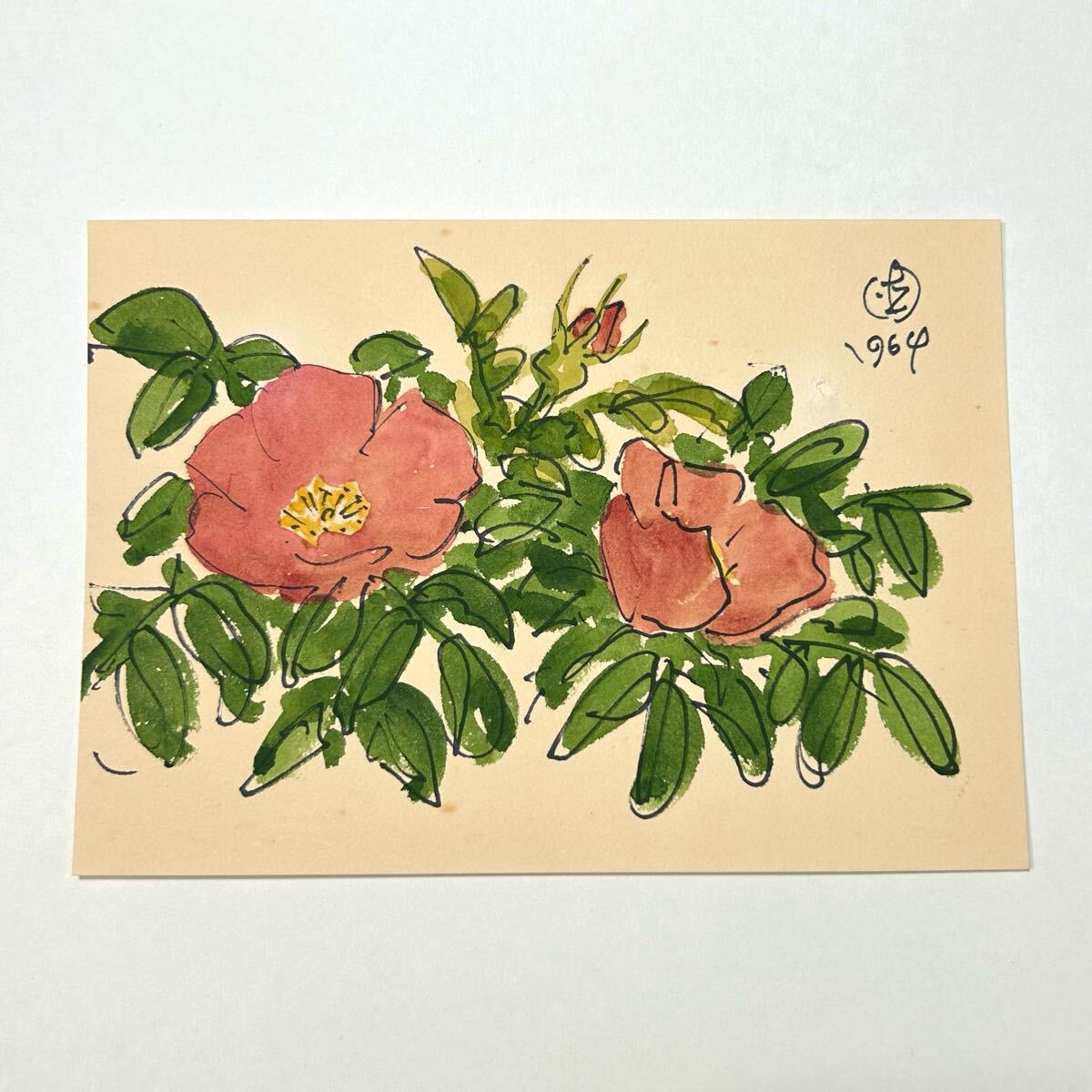 真作保証 坂本直行 肉筆 「はまなし」 1964年 ペン 水彩画 直筆サイン入り 画用紙 六花亭 北海道_画像1