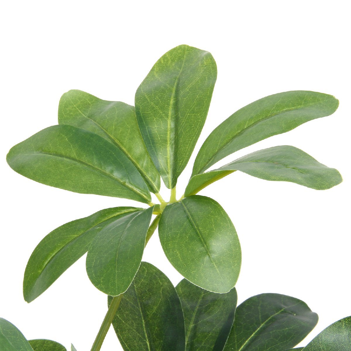 フェイクグリーン 観葉植物 ヤドリフカノキ 高さ約100ｃｍ【新品】【送料無(wú)料】(北海道 沖縄 離島は別途送料)