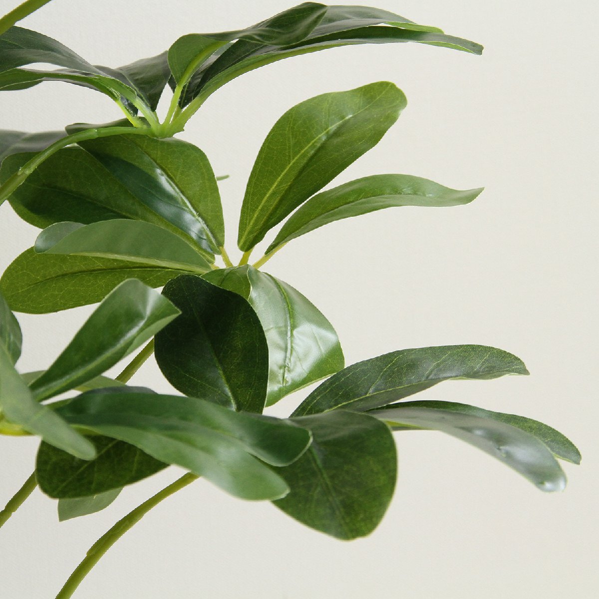 フェイクグリーン 観葉植物 ヤドリフカノキ 高さ約100ｃｍ【新品】【送料無(wú)料】(北海道 沖縄 離島は別途送料)