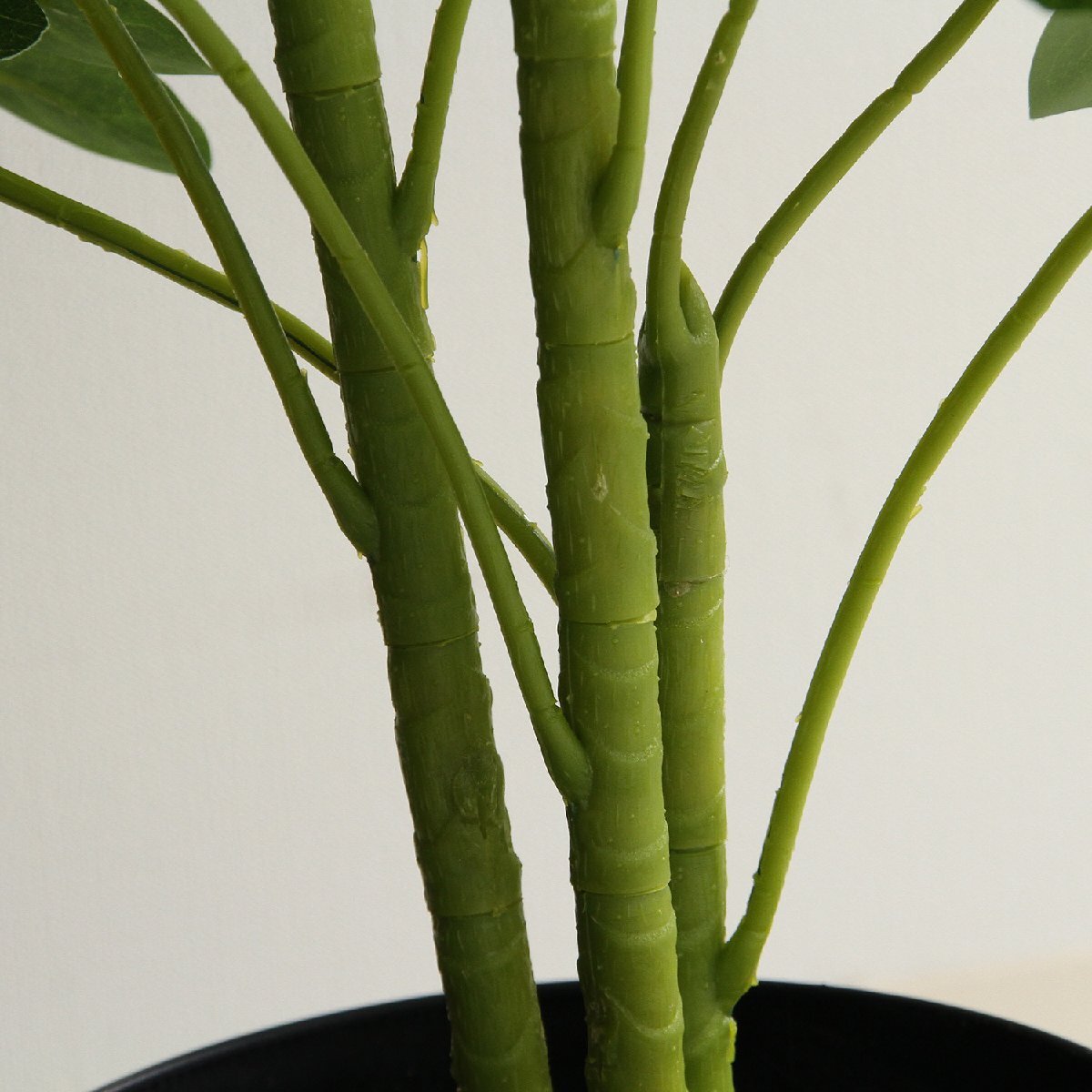 フェイクグリーン 観葉植物 ヤドリフカノキ 高さ約100ｃｍ【新品】【送料無(wú)料】(北海道 沖縄 離島は別途送料)