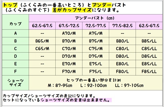 Re75-19◇E75 L◇ブラショーツセット フル＆Ｔバック 脇高 美谷間 紫