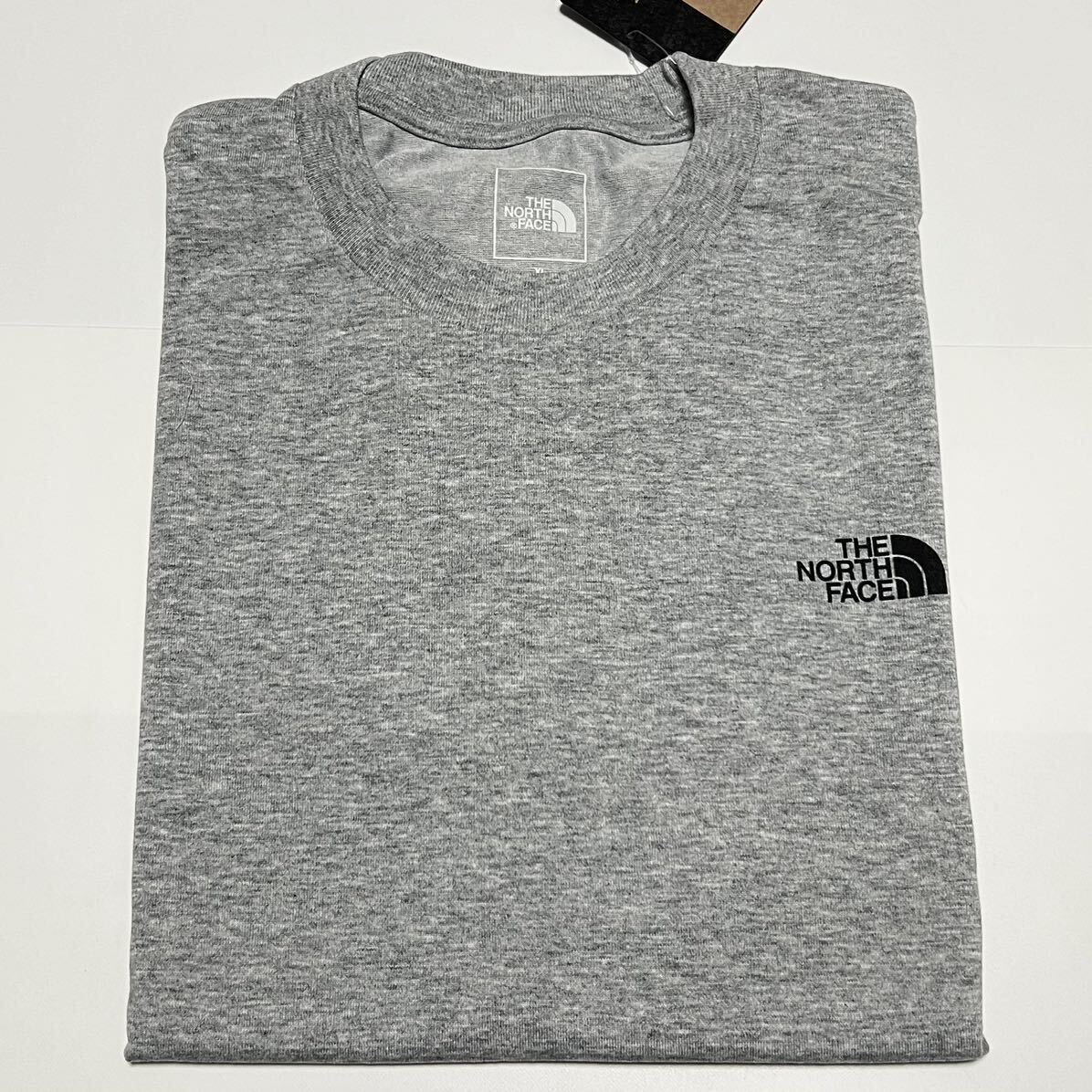 XL 新品 ノースフェイス グラフィック フォト Tシャツ グレー