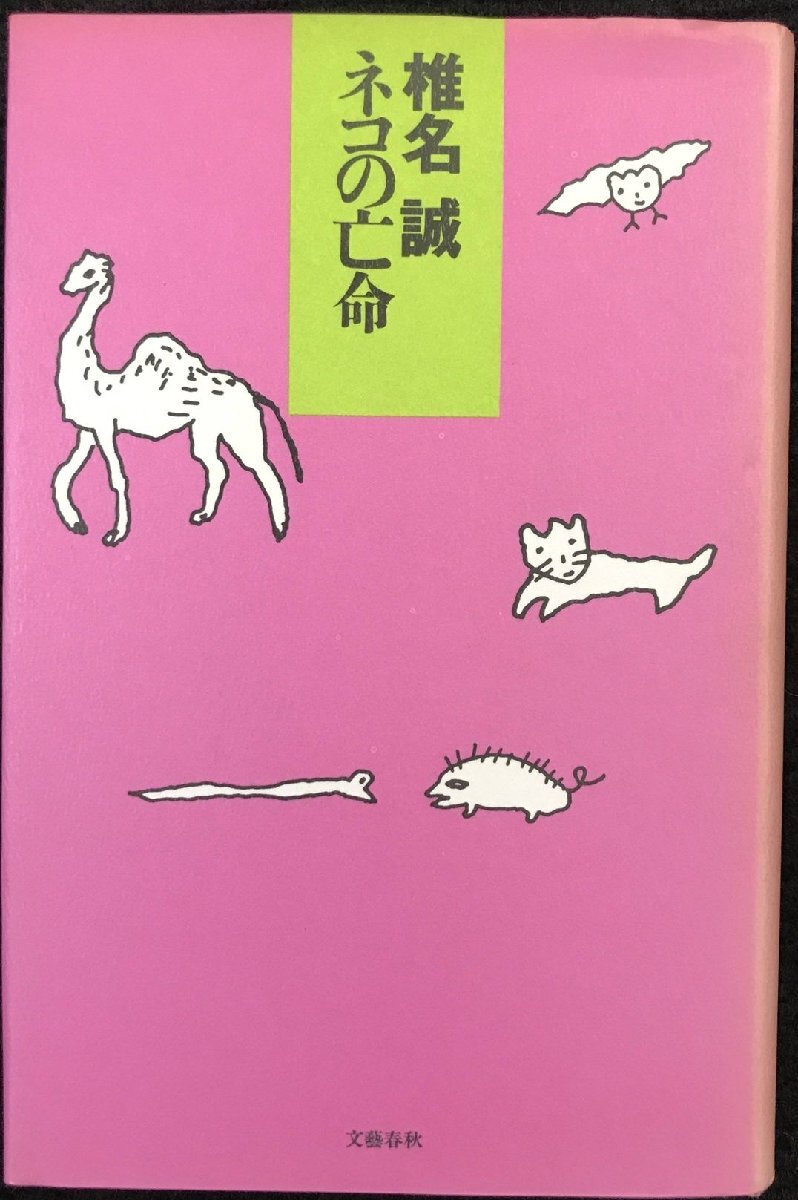  кошка. . жизнь монография 