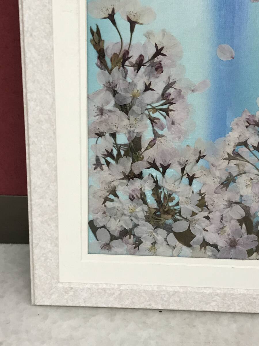 HG7567 押し花アート 桜 さくら 春 押し花絵 額装 壁掛け HG7567 押し花アート 桜 さくら 春 押し花絵 額装 壁掛け