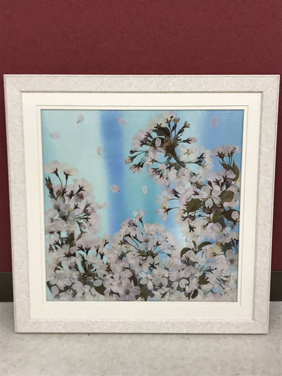 HG7567 押し花アート 桜 さくら 春 押し花絵 額装 壁掛け HG7567 押し花アート 桜 さくら 春 押し花絵 額装 壁掛け