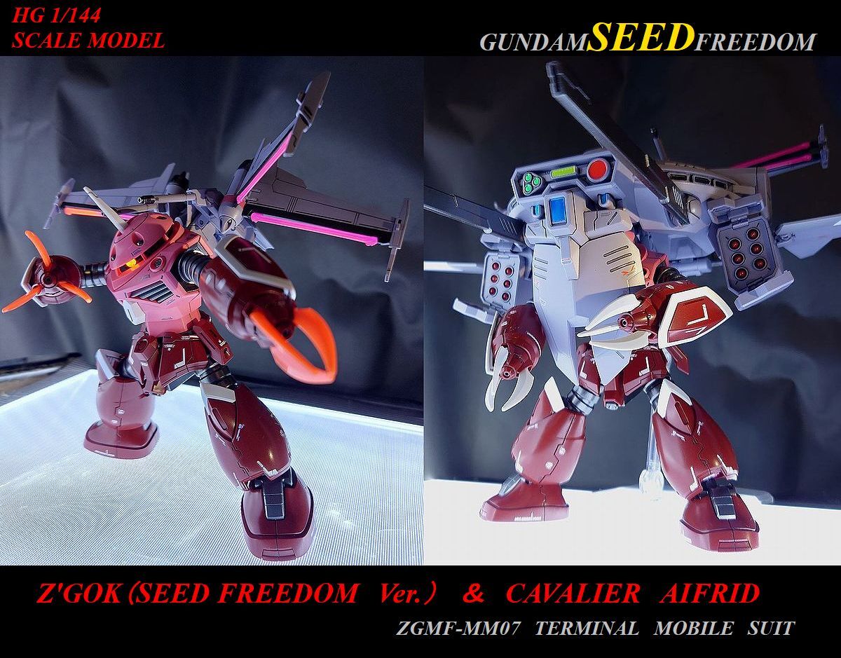 HGCE 1/144 ズゴック SEED FREEDOM Ver. & キャバリアーアイ HGCE 1/144 ズゴック SEED FREEDOM Ver. & キャバリアーアイ