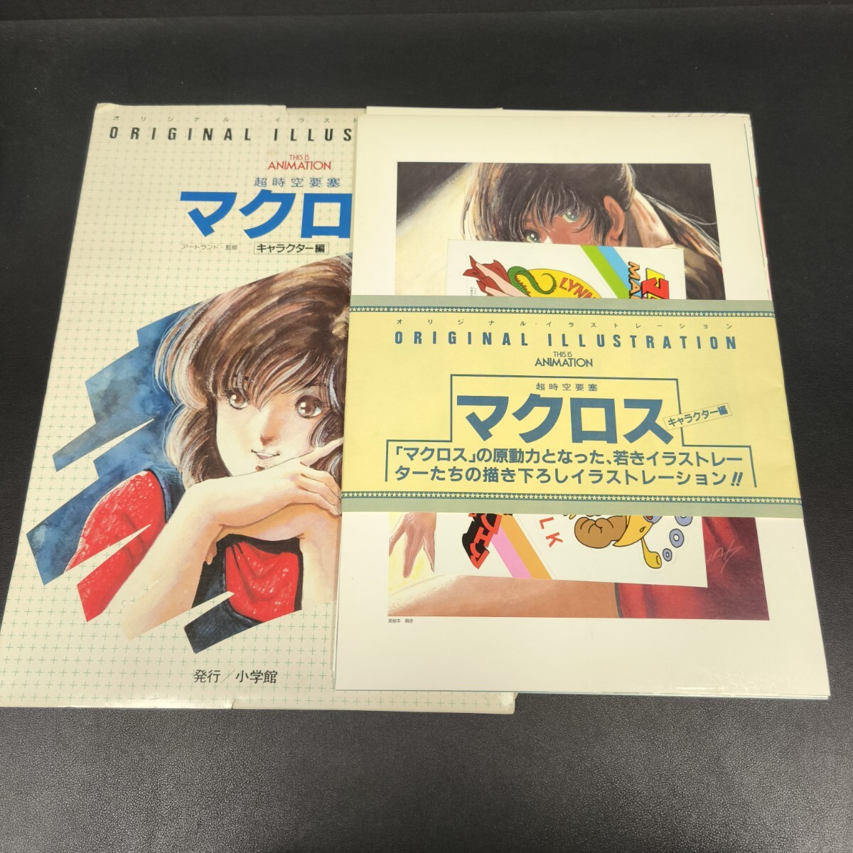 Amazon.co.jp: 美 帯 超時空要塞 マクロス 豪華本 MACROSS THE