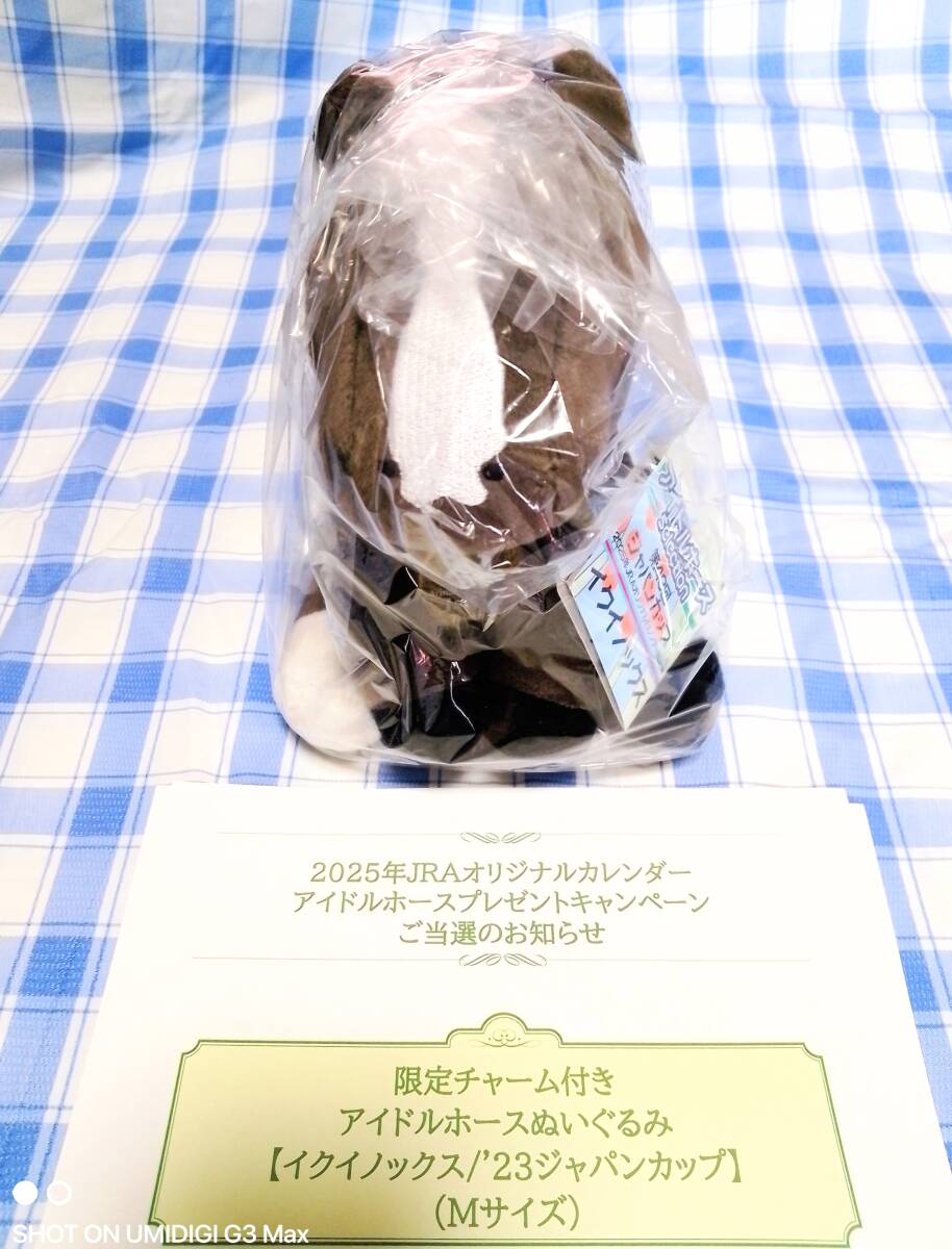限定チャーム付き アイドルホース イクイノックス 2023 ジャパン 限定チャーム付き アイドルホース イクイノックス 2023 ジャパン