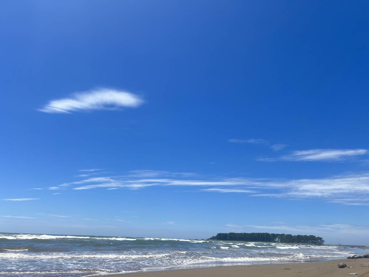 令和６年度米/石川県能登産こしひかり/精米20kg/送料無料！/自家製もち米100％のお餅サービス！
