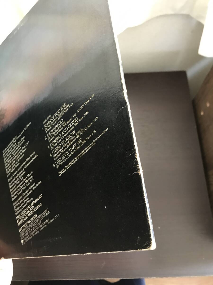 【LP】LE BLANC & CARR / MIDNIGHT LIGHT（輸入盤）BT89521_画像5