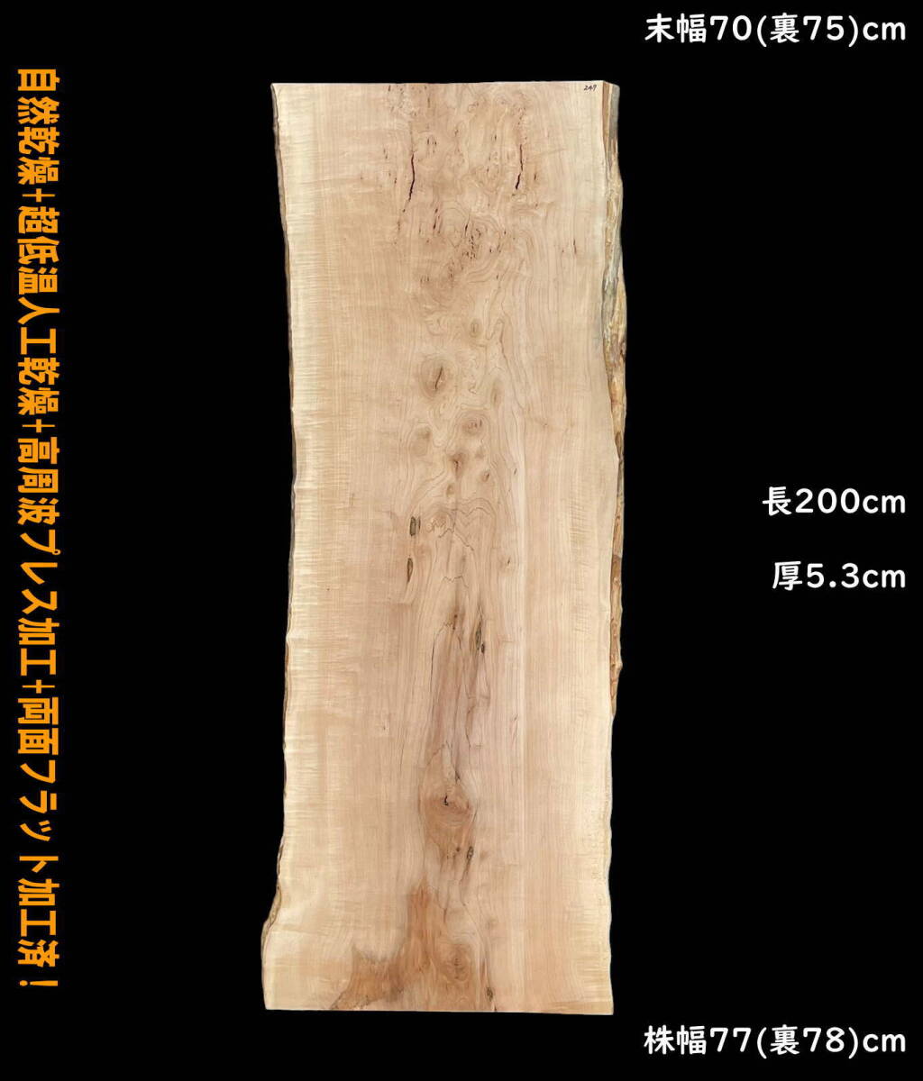 楓 Y247 一枚板 乾燥材 棚板 カウンター テーブル DIY 耳付 天板 楓 Y247 一枚板 乾燥材 棚板 カウンター テーブル DIY 耳付 天板