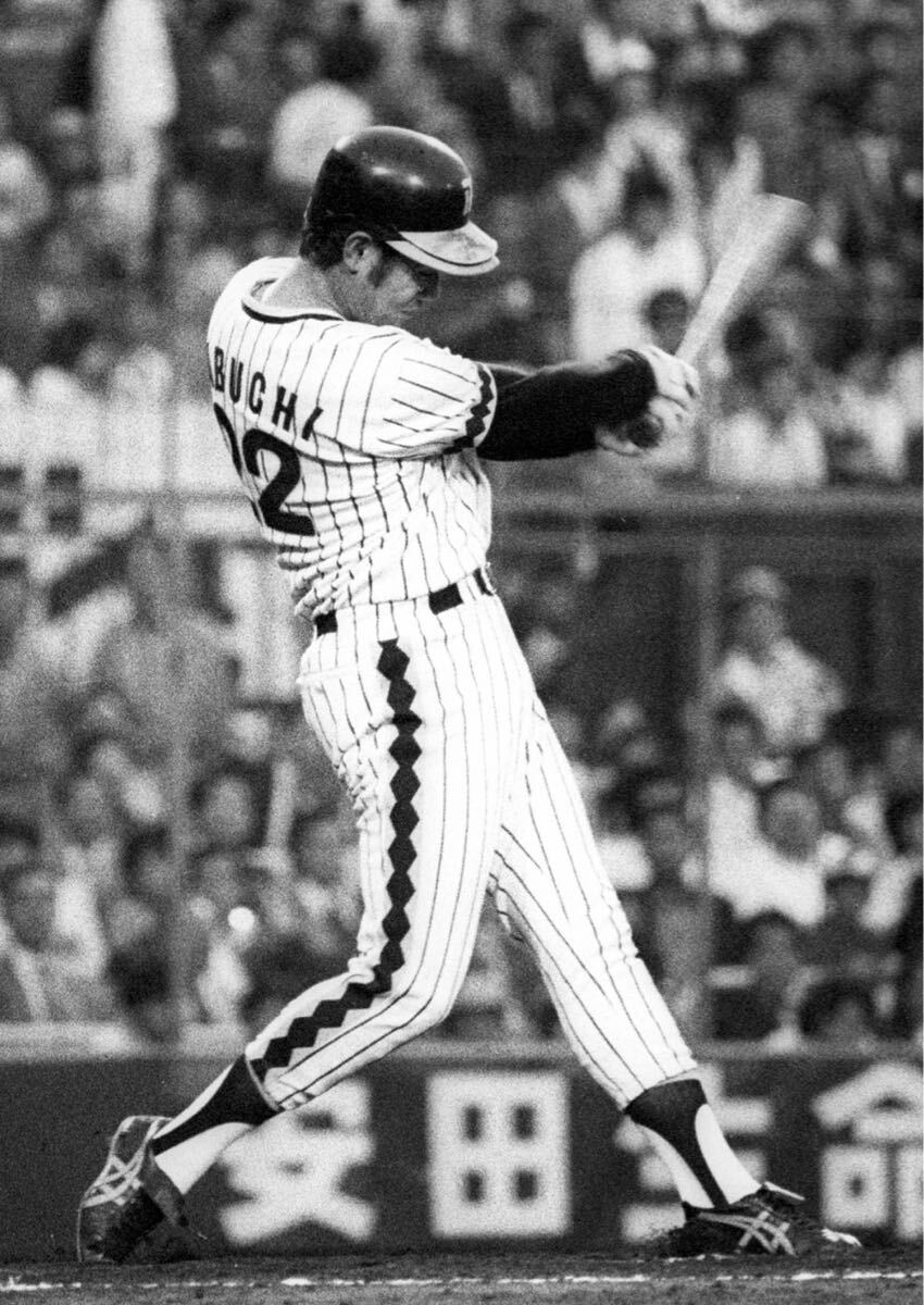 送料無料 即決 阪神タイガース 田淵幸一選手ユニフォーム 1975 送料無料 即決 阪神タイガース 田淵幸一選手ユニフォーム 1975