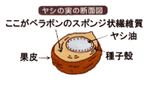 送料無料★一般ごみ廃棄可　寄植え　ギャザリング　ブリコラージュ　ヤシの実チップ　フジック『あく抜き　ベラボン?。玻埃獭。土！粡杂? bimg=