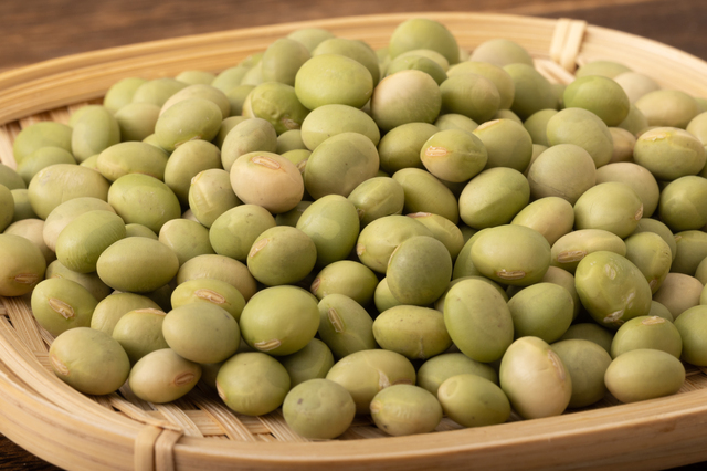 秘伝豆 250g×3袋 豆力 山形県産 （メール便）ひでん豆 國(guó)産 青大豆 枝豆 だいず 國(guó)內(nèi)産 干燥豆 干燥大豆