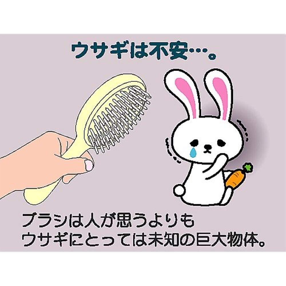 ミニアニマン ハヤシ ウサギのビューティーグルーマー_画像5