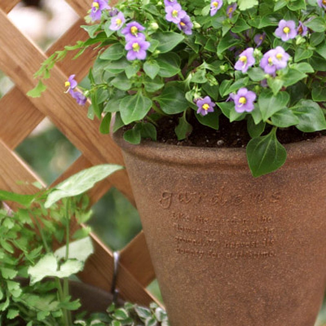 八幡化成(Hachimankasei) エコポット/植木鉢 浅型 7号 グレー 『アーブル(Hachiman gardens:arbre)』_画像2