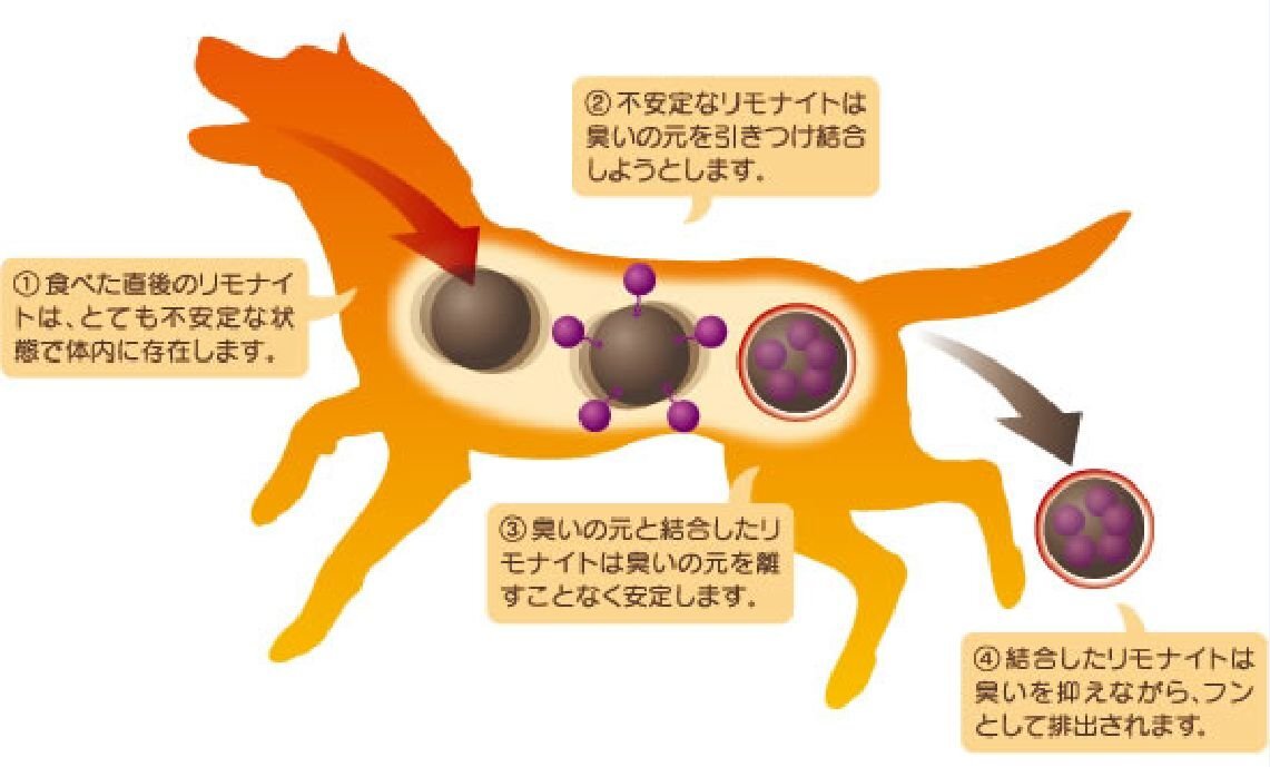 わんこリモナイト ソフト 超小粒 犬用おやつ 50グラム (x 1)_画像3