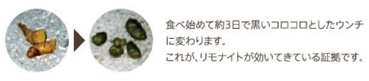 わんこリモナイト ソフト 超小粒 犬用おやつ 50グラム (x 1)_画像4