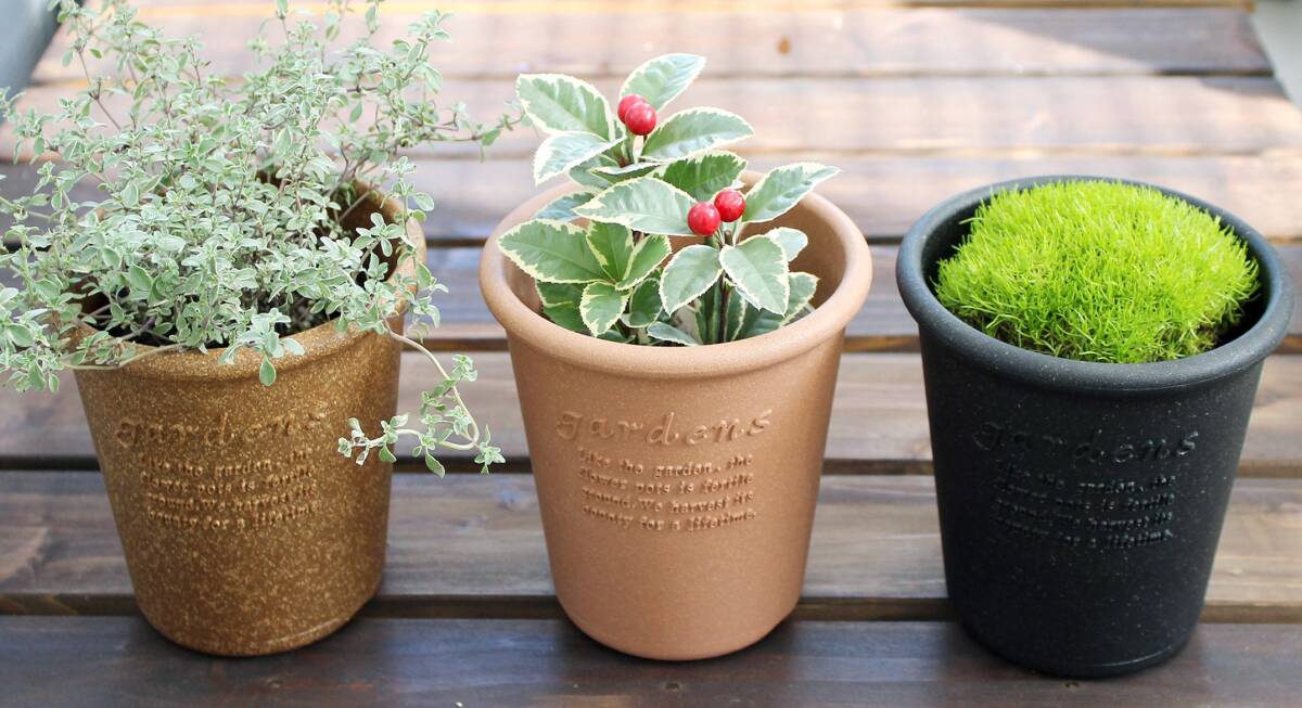 八幡化成(Hachimankasei) エコポット/植木鉢 丸型 4号 ナチュラル 『アーブル(Hachiman gardens:arbre)』_画像2