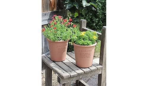 八幡化成(Hachimankasei) エコポット/植木鉢 丸型 6号 グレー 『アーブル(Hachiman gardens:arbre)』_画像4