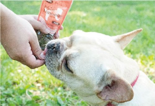 わんこリモナイト ソフト 超小粒 犬用おやつ 50グラム (x 1)_画像8