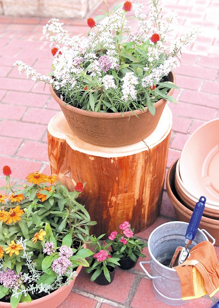 八幡化成(Hachimankasei) エコプランター/植木鉢 浅型 300 ナチュラル 『アーブル(Hachiman gardens:arbr_画像2