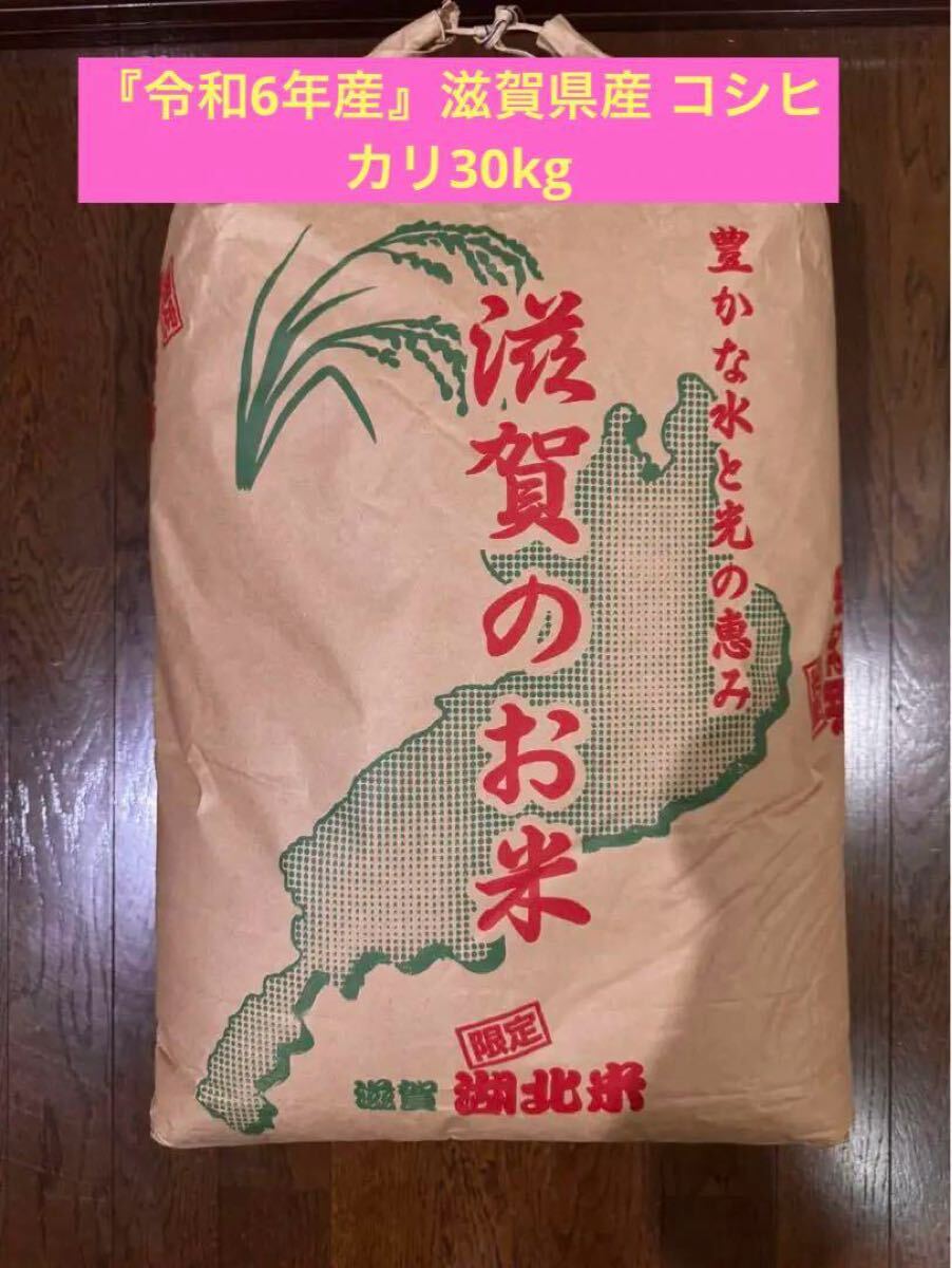 koshi.jpg?fitin=272:272