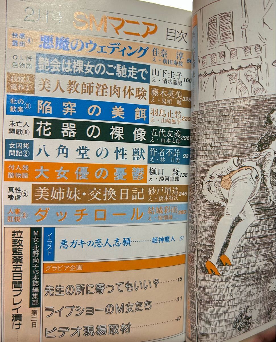 SMマニア　1996年 2月　結(jié)城彩雨　佳奈淳 羽鳥止愁　前田壽按　五代友義　楡畑雄二　駿河重郎　他