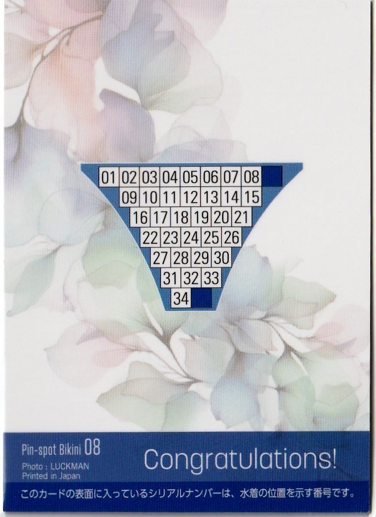 [Hit's..Vol.10~20th~Anniversary]4/34 булавка spo бикини карта 08( хлеб ti задний ) коллекционная карточка 